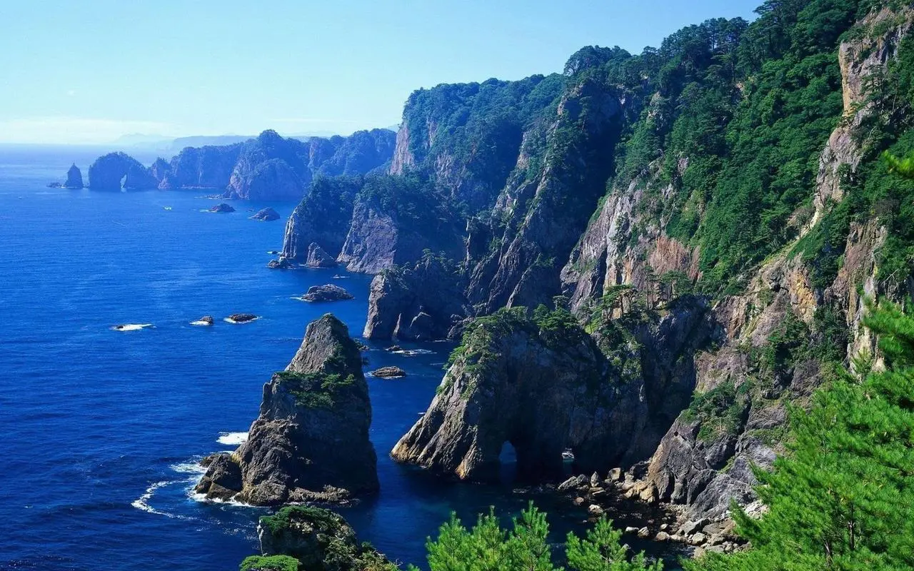 高标准全自动